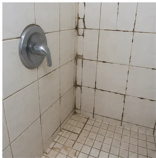 Shower and tub fixture inspected during a Blaine inspection